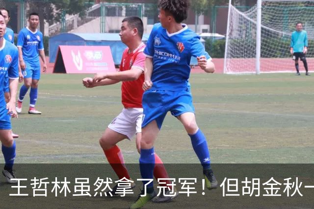 王哲林虽然拿了冠军！但胡金秋一个数据曝光，才知道谁是真核